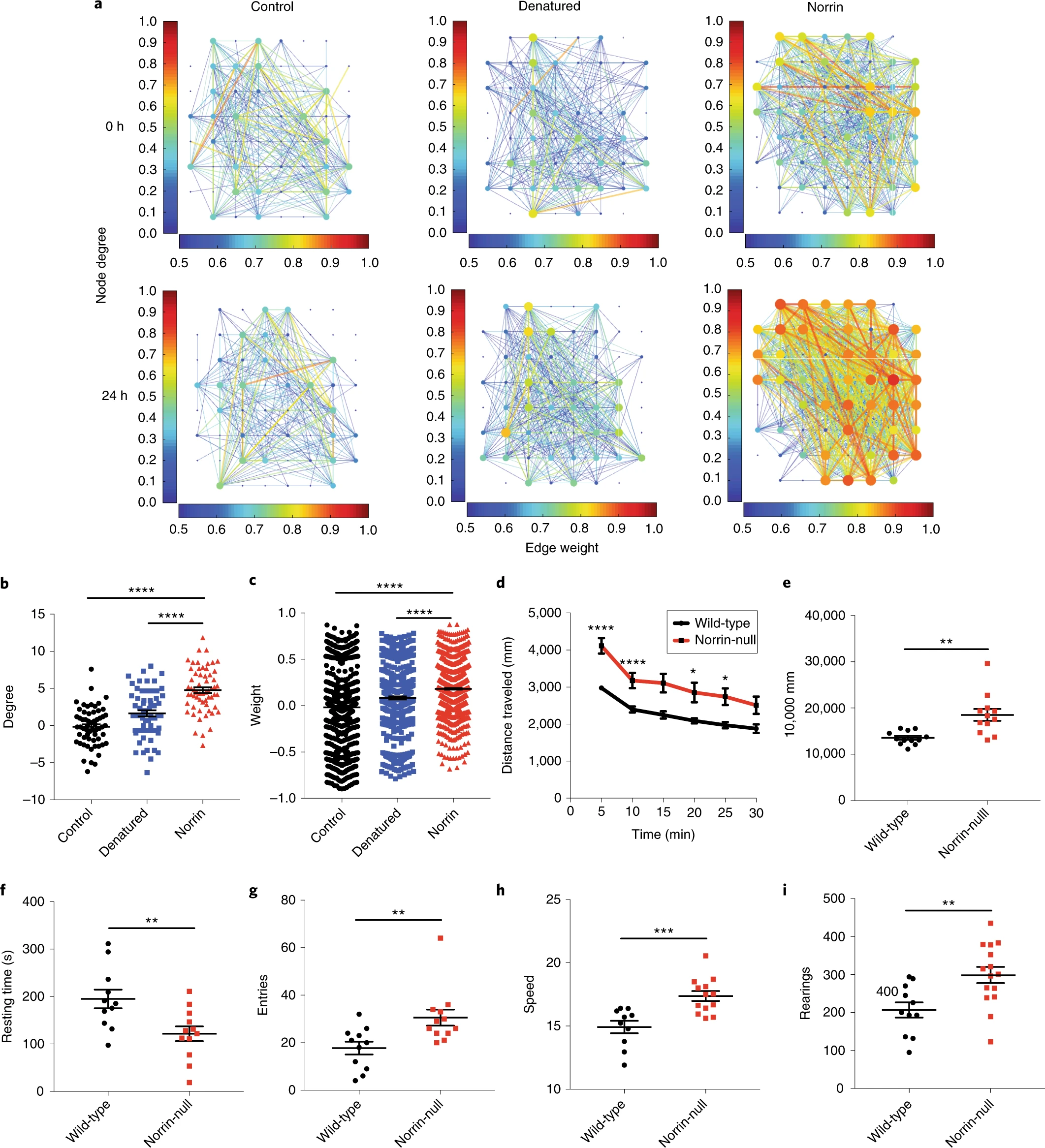 Publication preview for Molecularly defined cortical astroglia subpopulation modulates neurons via secretion of Norrin