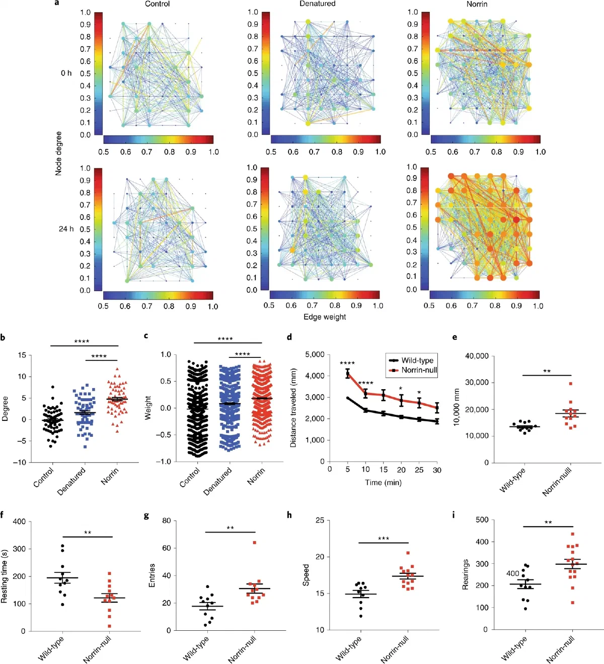 Publication preview for Molecularly defined cortical astroglia subpopulation modulates neurons via secretion of Norrin