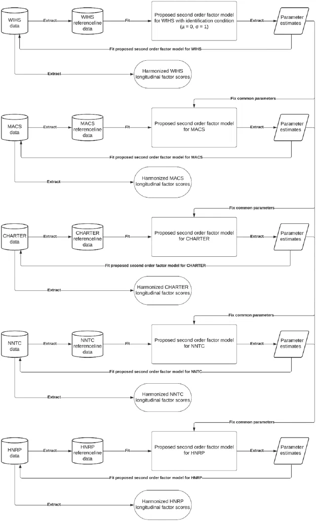 Schematic of the cohort-by-cohort harmonization workflow producing common factor models and parameter estimates.
