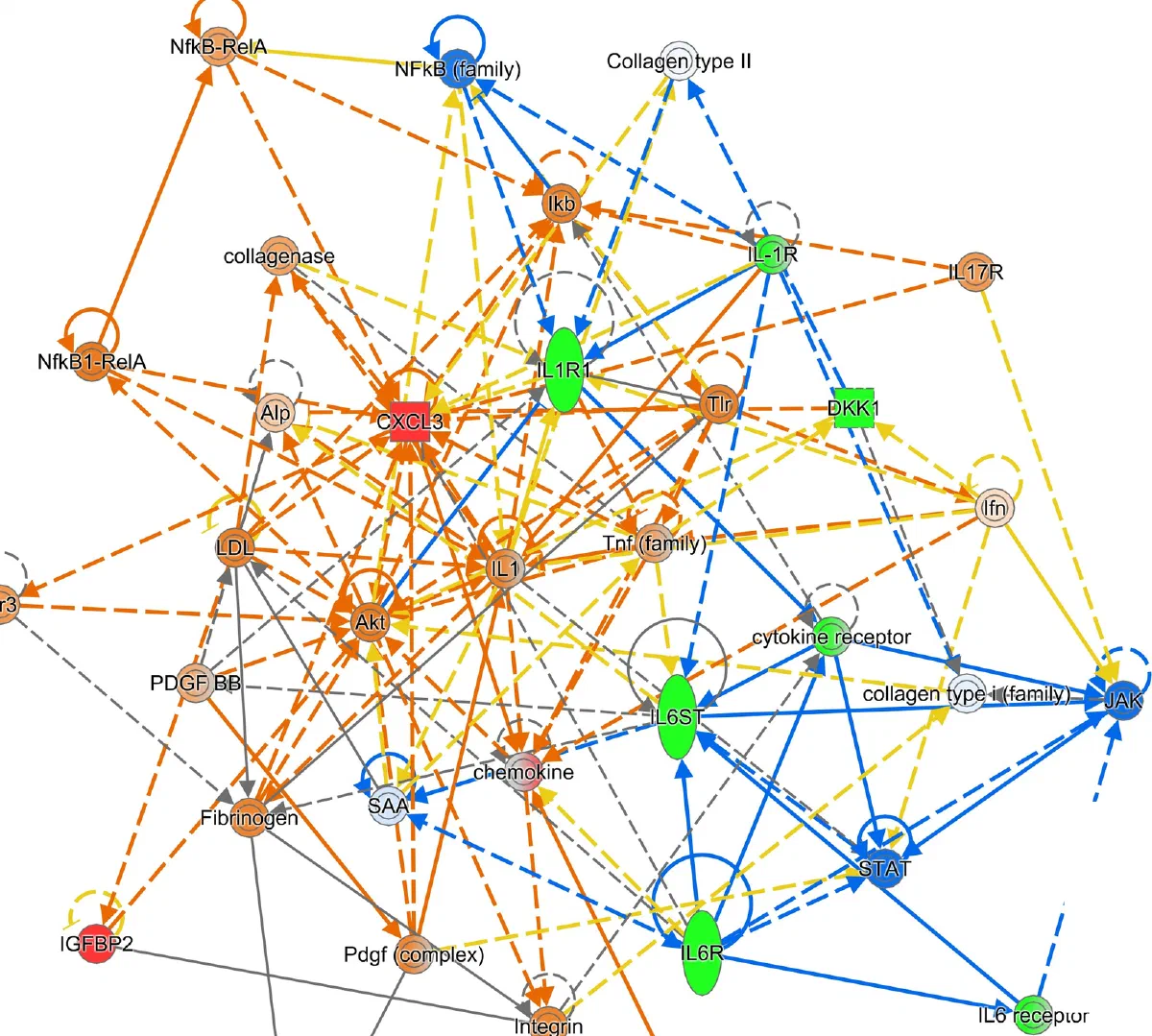 Ingenuity pathway network linking inflammatory signalling nodes identified in proteomic analysis.