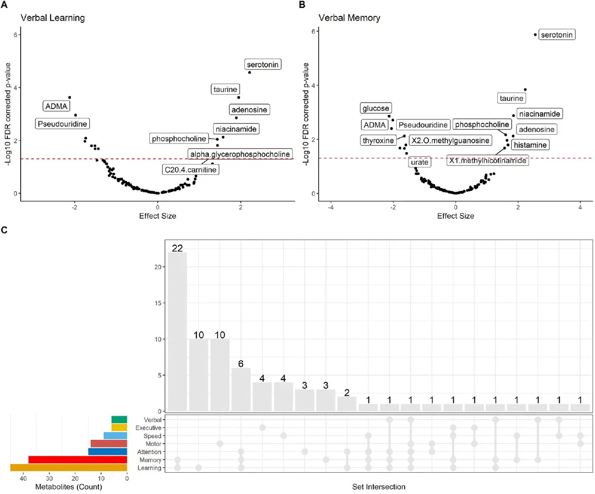 Figure from Metabolomic levels mediate the link between socioeconomic factors and changes in declarative memory in women with and without HIV