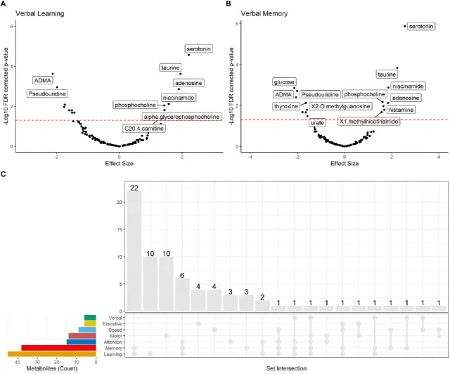 Figure from Metabolomic levels mediate the link between socioeconomic factors and changes in declarative memory in women with and without HIV
