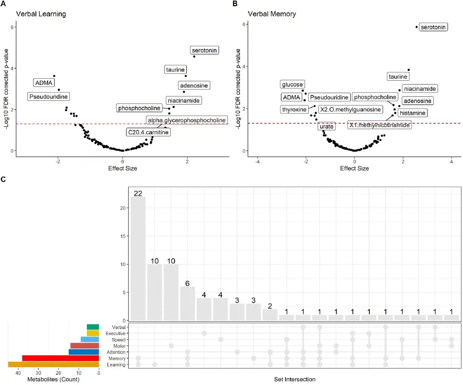 Figure from Metabolomic levels mediate the link between socioeconomic factors and changes in declarative memory in women with and without HIV