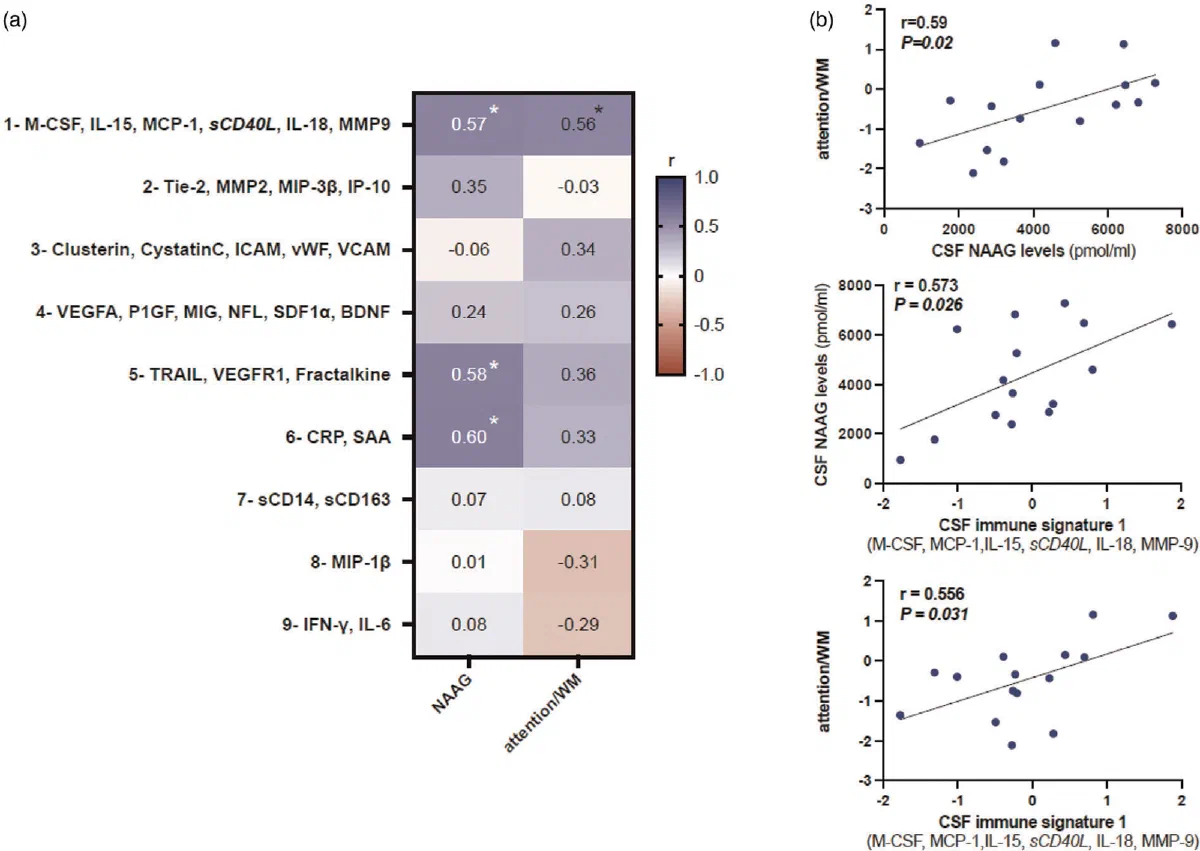 Correlation heatmap of immune markers with NAAG alongside scatter plots against attention and working memory.